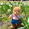 whimsicalwinnie