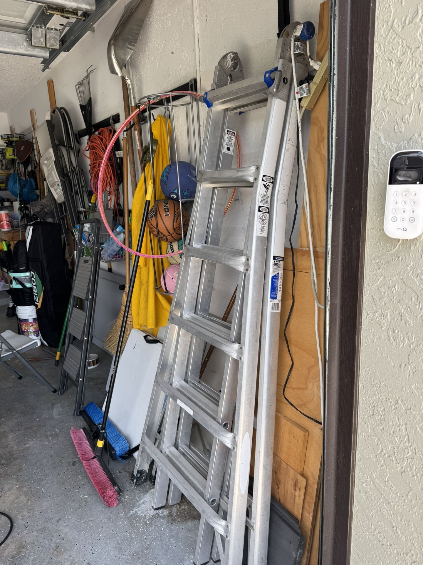 Werner Ladder