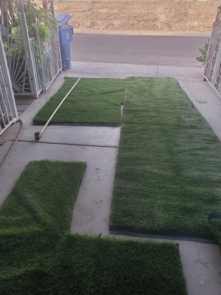 Artificial Grass