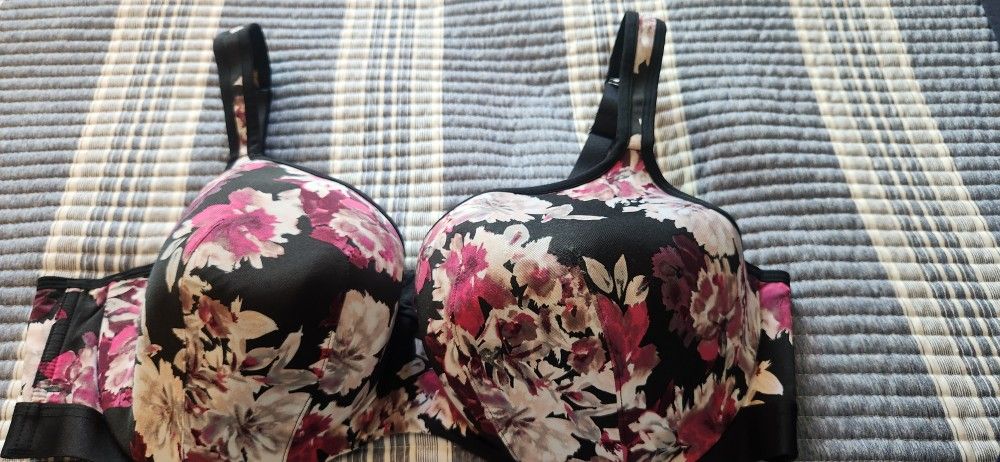 Casique 44DD