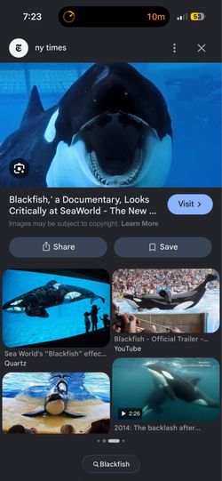 Seaworld pass