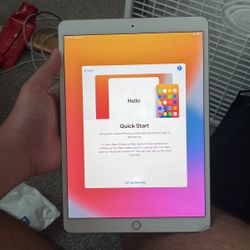 256 Gb Ipad Pro 2nd Gen