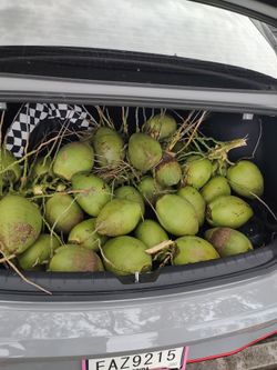 Cocos