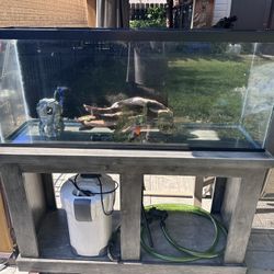 55 Gallon Fisk Tank/Stand/AND
