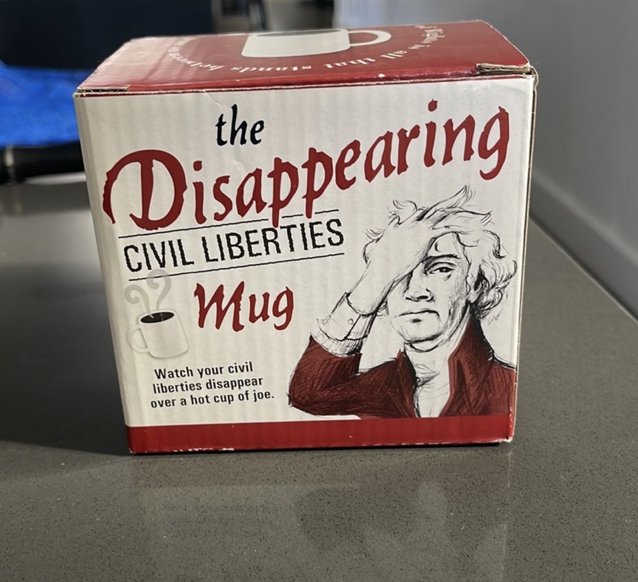 Disappearing Civil Liberties Mug
