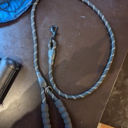Dog Leash