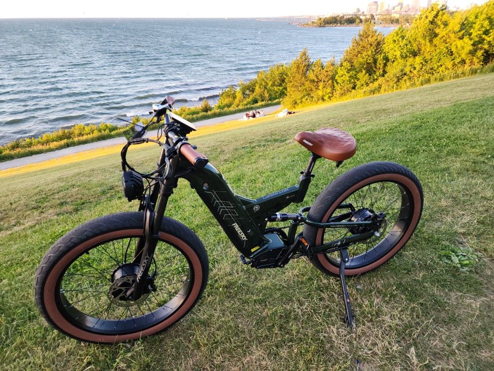 2024 Freesky electric bike