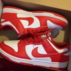 mens nike dunks 