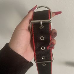 Black And Red Heavy Duty Dog Collar