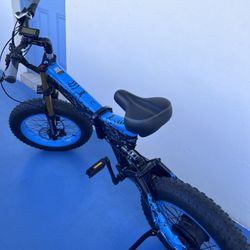 Electric bicycle X 3000+