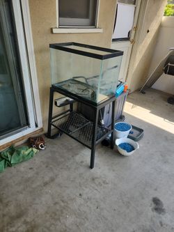 20 Gallon Tank With Pump and Rocks