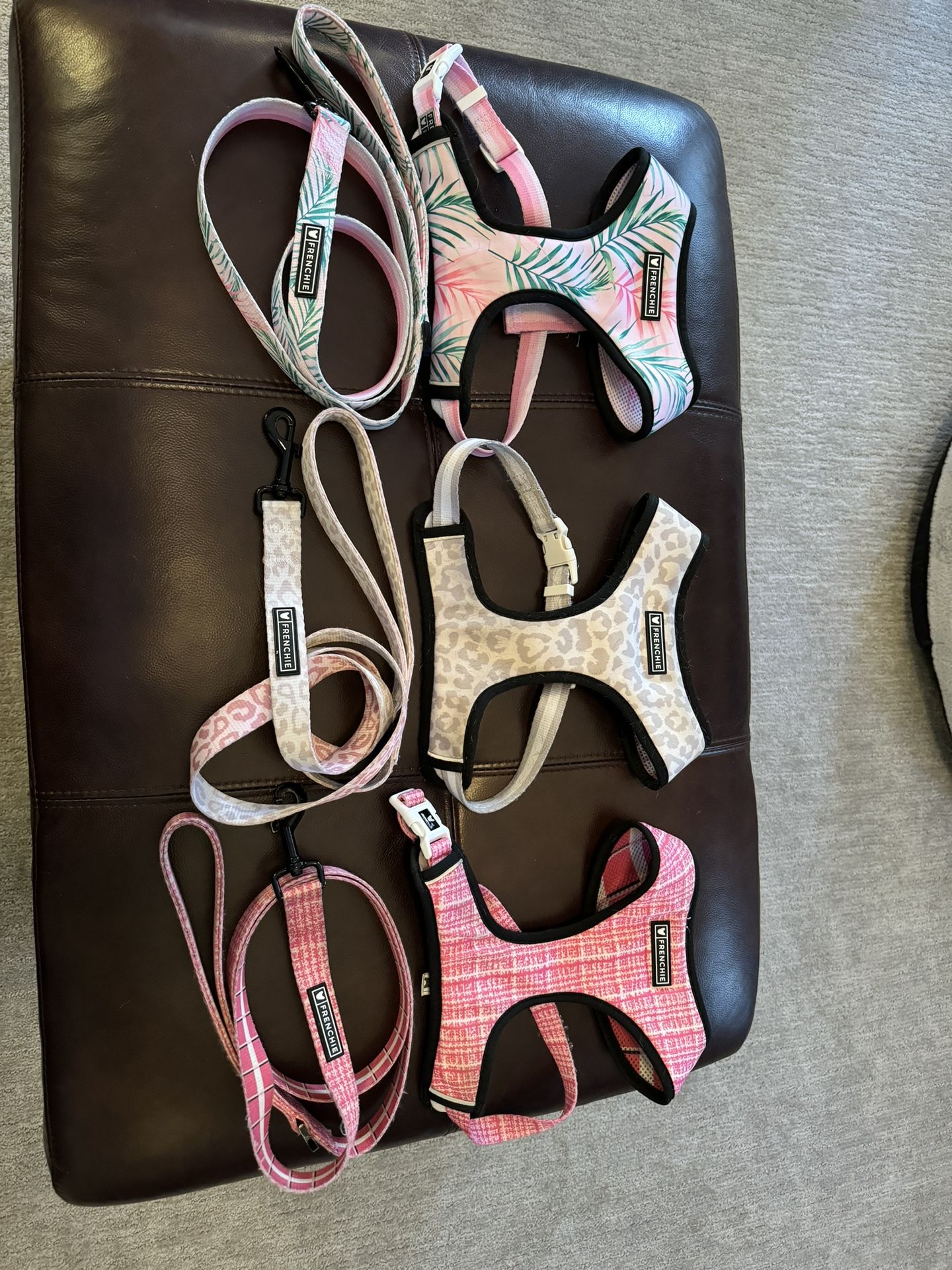 Frenchie Harness and Matching Leashes