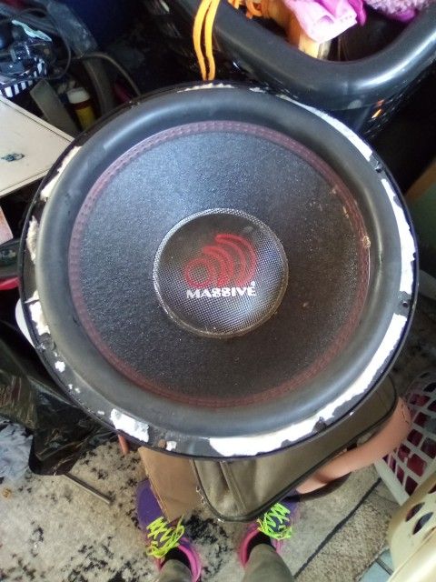 15" Speaker