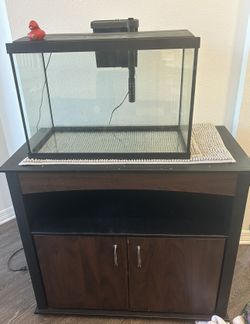 20gal Aquarium W/stand And Extras!