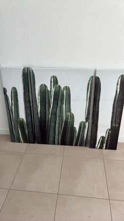 Three-piece canvas, cactus artwork