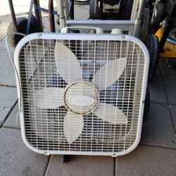 Fan