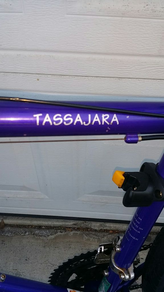 Gary fisher outlet tassajara 1998