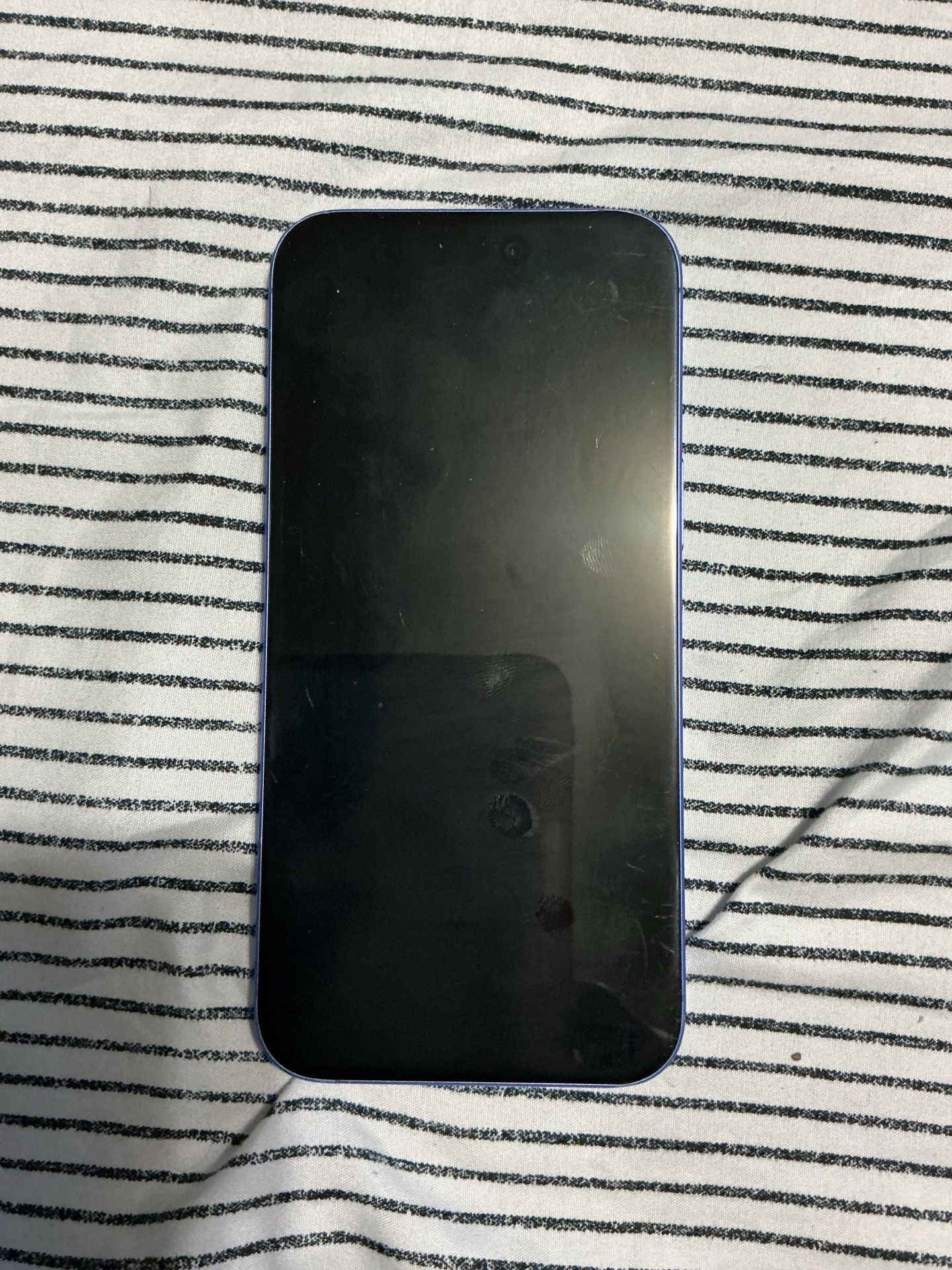 iPhone 16 plus blue