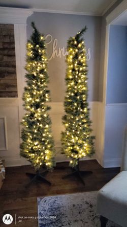 2, Slim Christmas trees