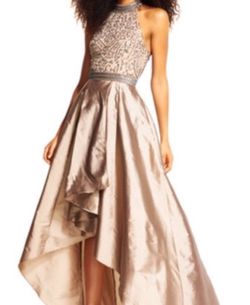 Special event dress-Adrianna Papell