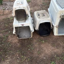 Dog Kennels