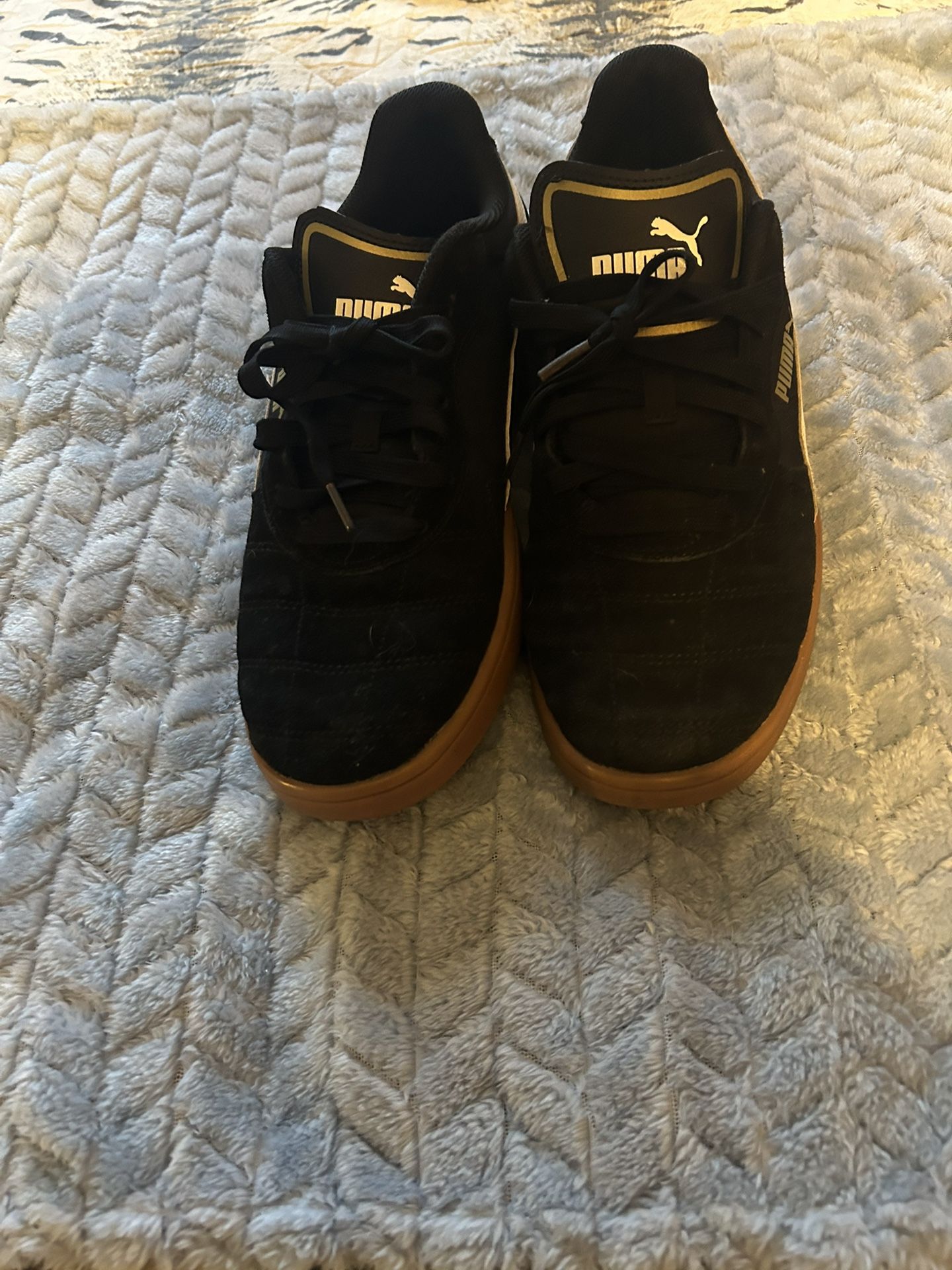 Pumas