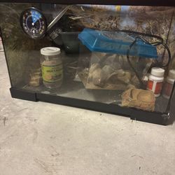 Gecko Or Bearded Dragon Tank Kit