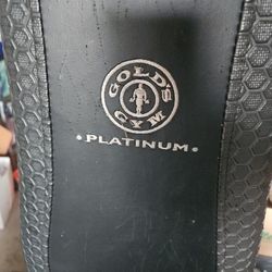Gold Gyms ... Great Condition 
