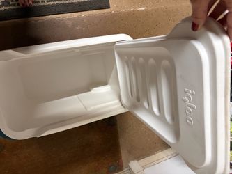 38 quart Igloo cooler