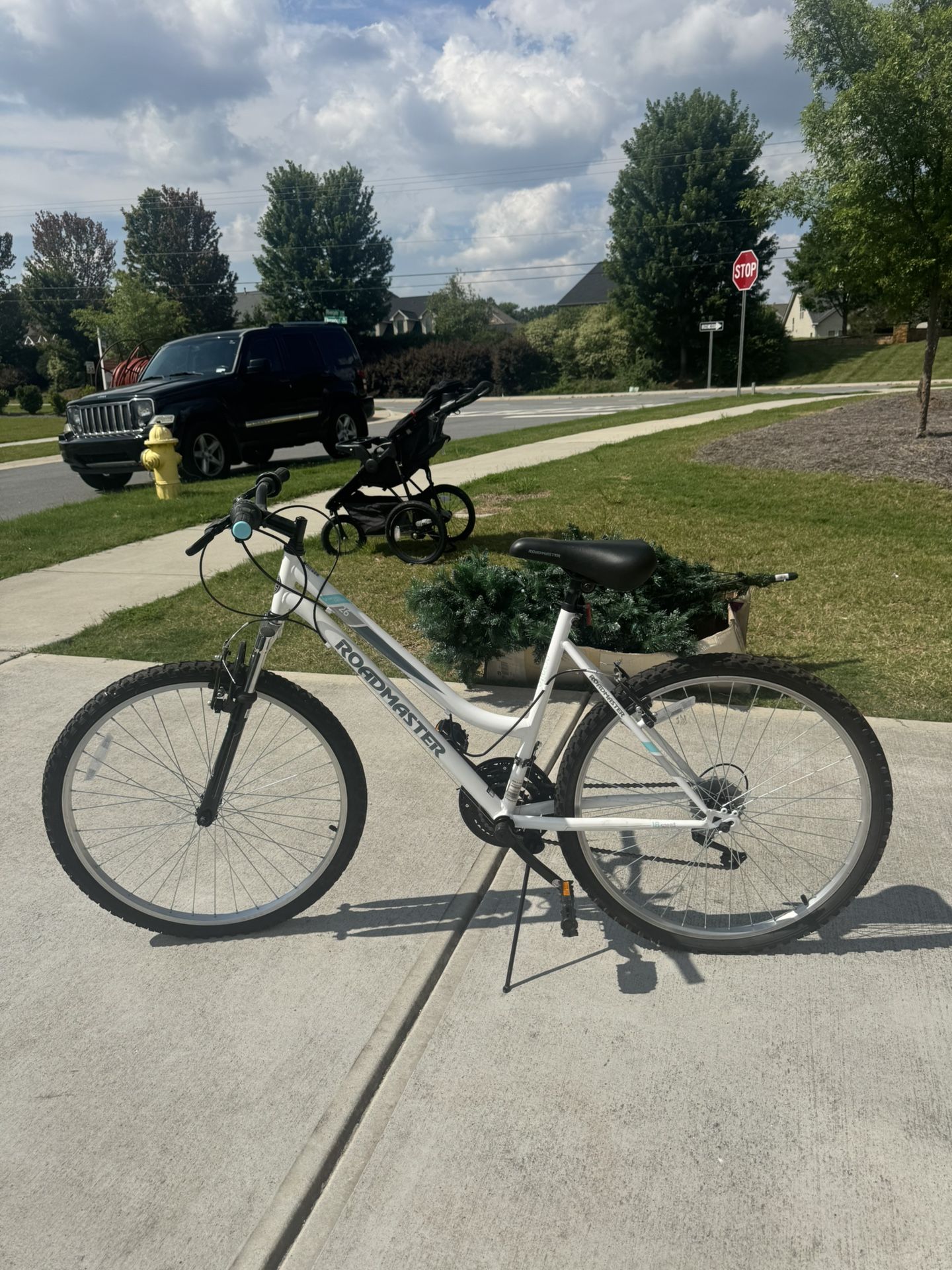 Adult Bicycle