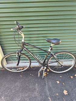 Giant Comfort Bike