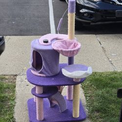 Purple Cat Tree