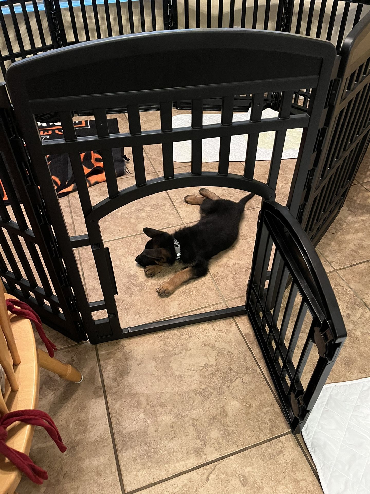 Large Size 10 Panel Small Dog Or Puppy Pen lsize 10 panel
