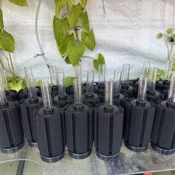 Sponge Filters For Aquariums 