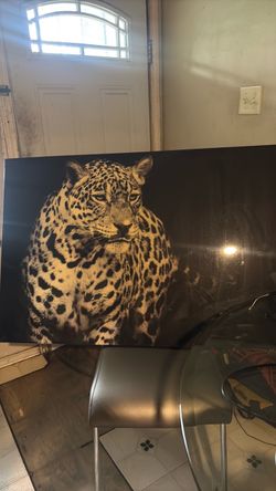 Leopard picture frame