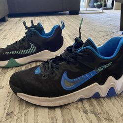 Boys Nikes 6.5y Giannis 