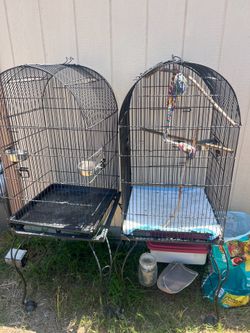 Bird cages