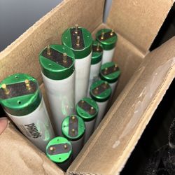 Philips Fluorescent Light Tubes (8 Count)