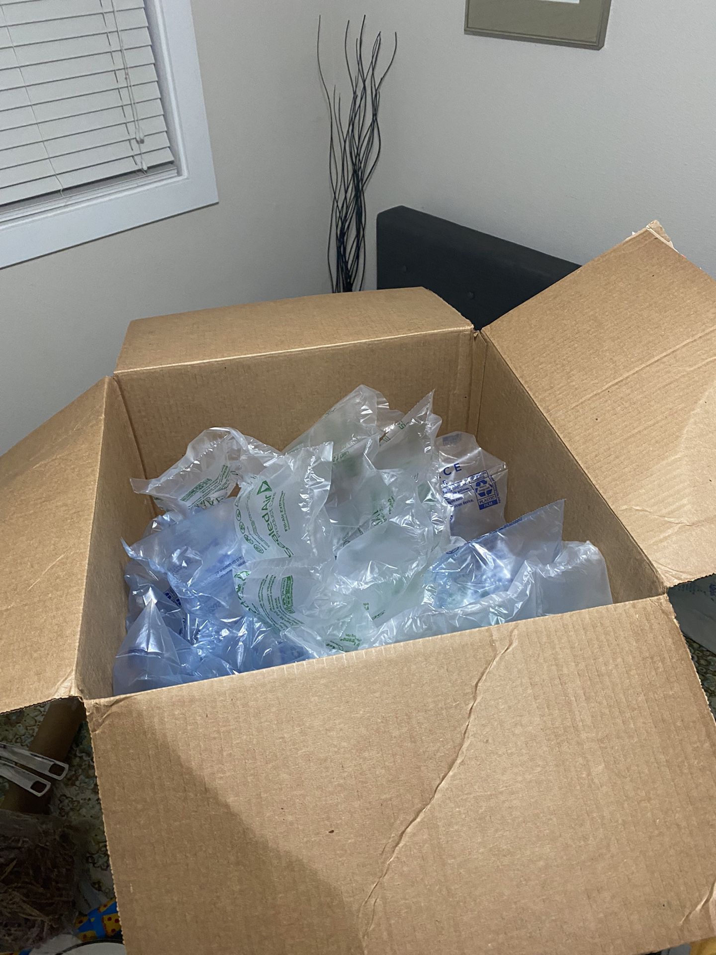 Box Of Packing Air Pouches