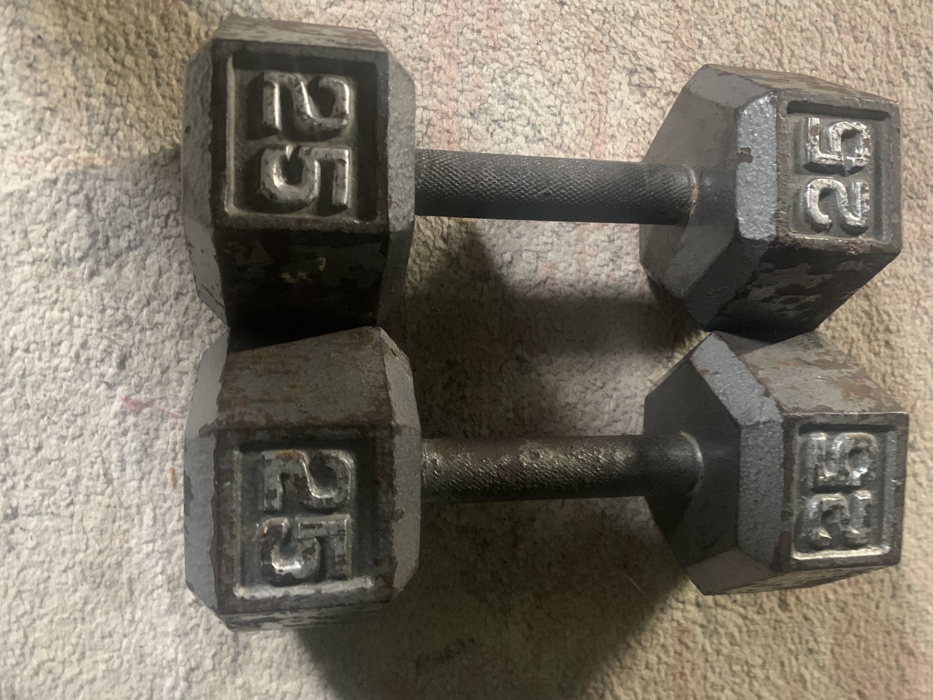 25 Pound Dumbbells