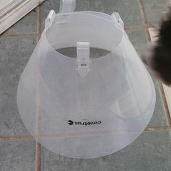 Dog Surgical Cone