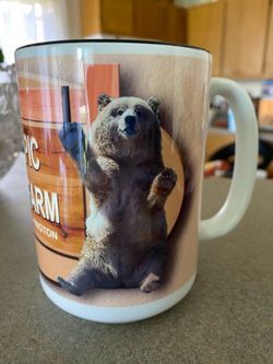 New Cup.
