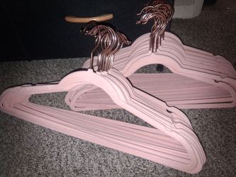 Set of 40 Blush Pink Velvet Hangers with Rose Gold Hooks – Tempe Pickup
