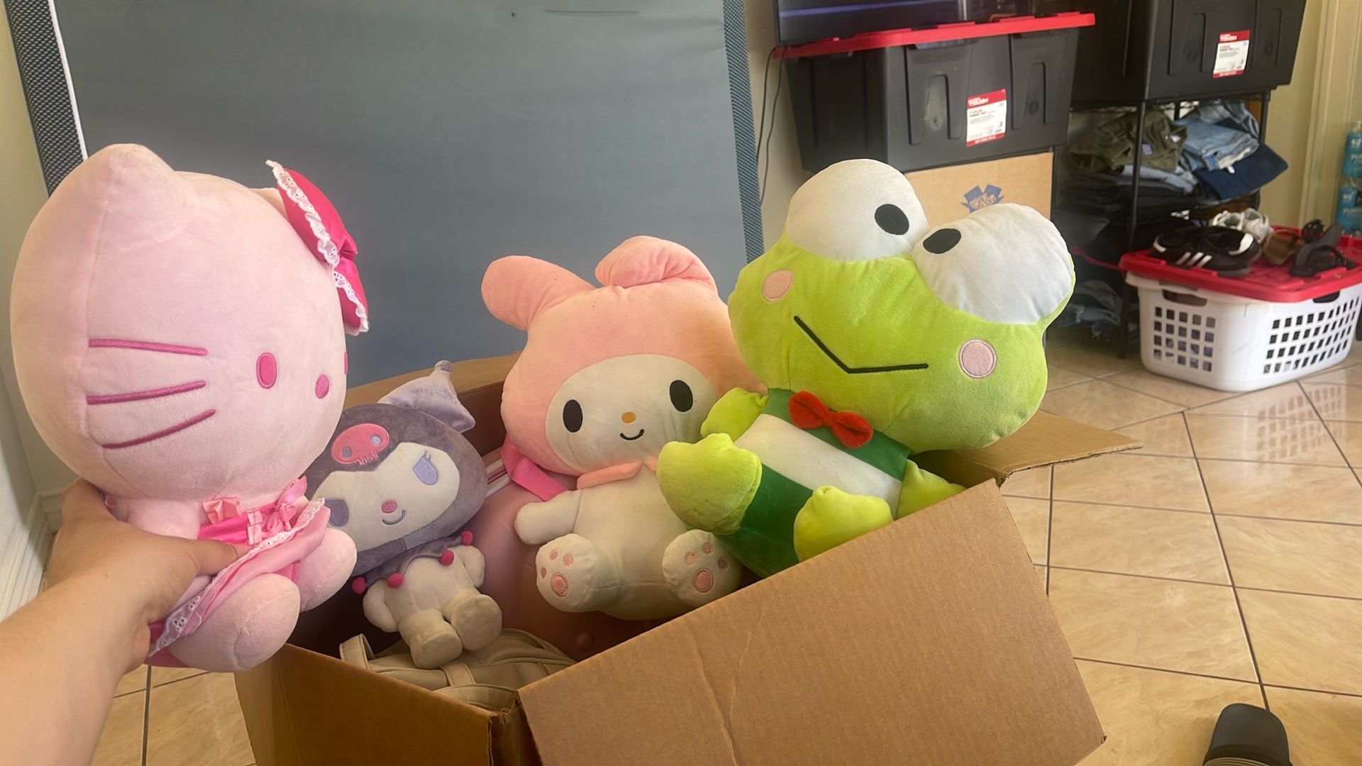 Sanrio Plushy