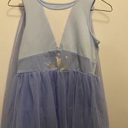 Frozen 2 Elsa Costume Dress