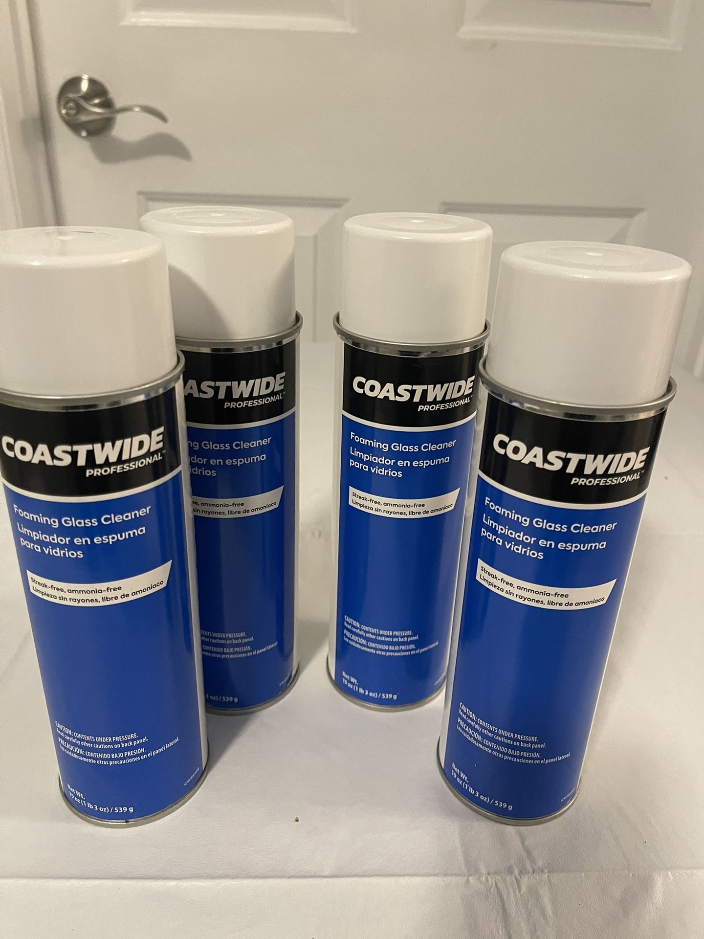 Foam Glass Cleaner By Coastwise 19oz. $1