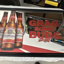 Budweiser Beer Mirror