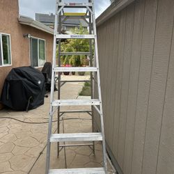 Ladder