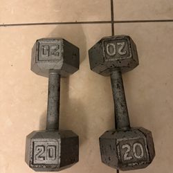 Free Weight Dumbbells 20lbs 