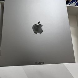 iPad Pro 11” (4th Gen) – 1TB – WiFi + 5G – Unlocked 
